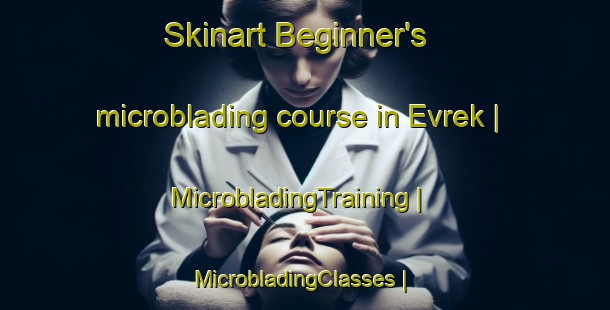 Skinart Beginner's microblading course in Evrek | MicrobladingTraining | MicrobladingClasses | SkinartTraining-Turkey